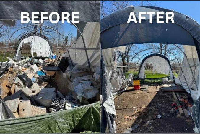 Before and After Property Clean Up